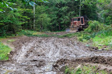 Dozer, orman sürüngeni traktörü kirli yeşil orman yolunda. Ukrayna 'daki Karpat dağında kereste hasadı. Ağaç kesme ekipmanları, ağır ekipman