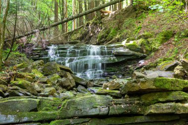 Dağ nehrinde küçük güzel bir şelale. Bagrivet Dağı deresi ve Yaremche yolu. Carpathian Ulusal Parkı. Ukrayna 