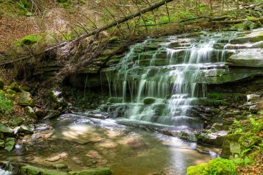 Dağ nehrinde küçük güzel bir şelale. Bagrivet Dağı deresi ve Yaremche yolu. Carpathian Ulusal Parkı. Ukrayna 