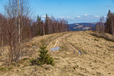 Dağ tepelerinin arka planında yürüyüş izleri olan manzara. Yavirnyk dağ sırası. Karpatlar. Ukrayna. Turistik yerler, aktif turlar.