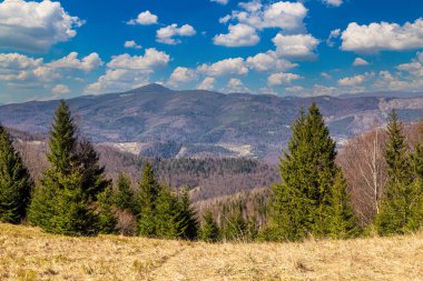 Yavirnyk Dağları 'ndan dağ tepeleri manzaralı manzara. Karpatlar. Ukrayna. Turistik yerler, aktif turlar.