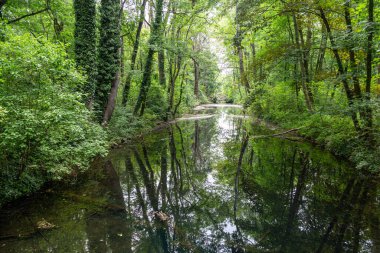 Rusovce Malikanesi 'ndeki İngiliz parkı ve nehri yaz günü, Rusovce Malikanesi. Tarihi peyzaj parkı. Bratislava, Slovakya. Turistik bölge