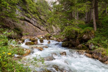 Cascate Di Fanes. Fanes Şelaleleri yürüyüşü. Atkuyruğu manzarası. Cortina d'Ampezzo . Dolomitler. İtalya. Dağ geçidinde güzel şelaleler. Hikihg ve aktif yaşam için ünlü turizm merkezi