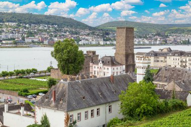 Almanya 'da Ruedesheim am Rhein kasabasının havadan görünüşü ve yaz günü Ren Nehri Vadisi' ndeki üzüm bağları. Almanya
