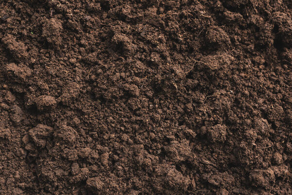 Close-up of fertile loam for the background