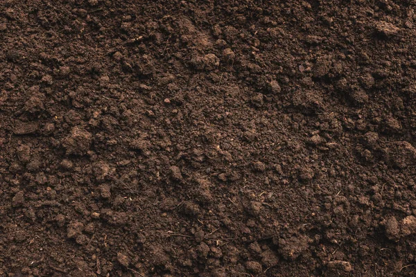 stock image Close-up of fertile loam for the background