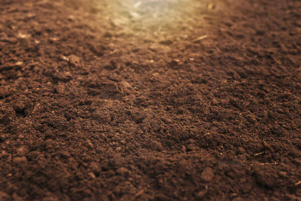Close-up of fertile loam for the background