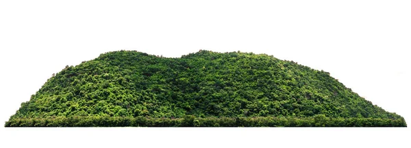 Berg Felsen Wald Baum Land Hintergrund Weiß — Stockfoto