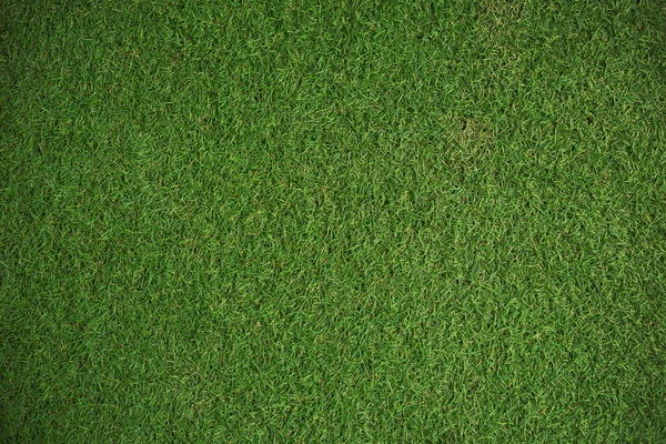 Textura Hierba Verde Para Fondo — Foto de Stock