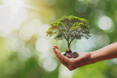 Eldeki madeni paraların üzerine ekin ekme Yatırım konseptleri