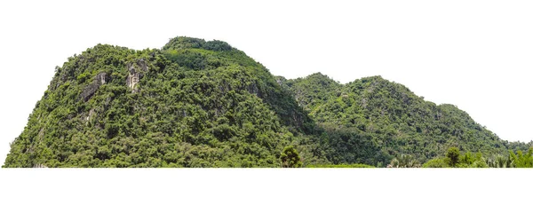 Montaña Tiene Muchos Árboles Naturales Separados Del Fondo Blanco Imagen de archivo