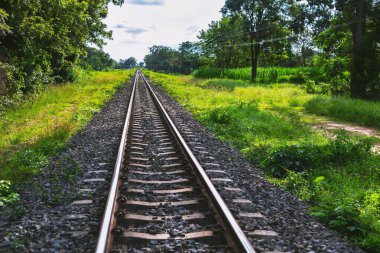 Kırsal tren rayları. Yolun her iki tarafında da güzel doğa var.