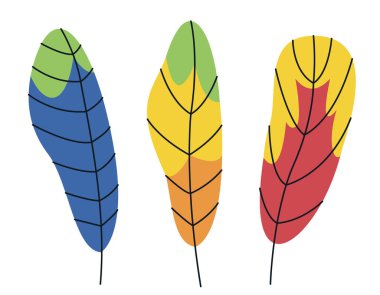 Set of parrot feathers in doodle style. Beautiful design elements.