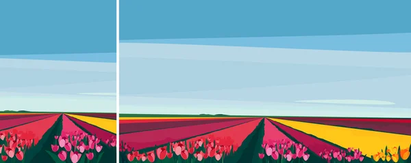 Campo Con Tulipani Diversi Paesaggio Naturale Diversi Formati — Vettoriale Stock