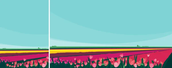 不同颜色郁金香的田野 不同形式的自然景观 — 图库矢量图片