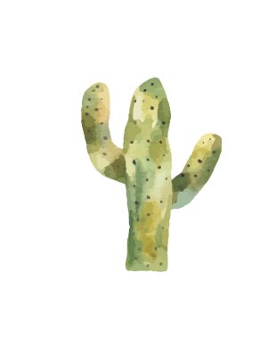 Palmiyeler, hindistan cevizi ağacı, doğa