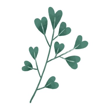 hand painted illustration with branch, leave. Herbal illustration