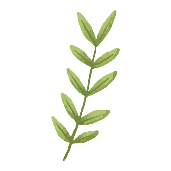 手描きの水彩画植物図の緑の葉の枝 — ストック写真