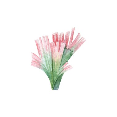 underwater elements, watercolor marine collection in watercolor, laminaria, plants, bautical flora