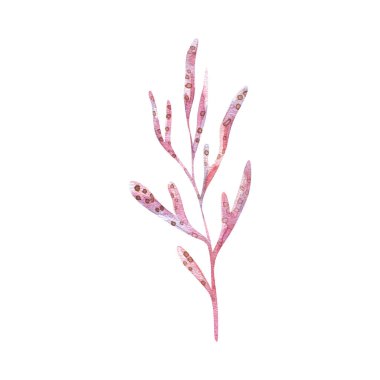 underwater elements, watercolor marine collection in watercolor, laminaria, plants, bautical flora