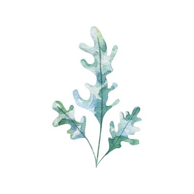 underwater elements, watercolor marine collection in watercolor, laminaria, plants, bautical flora