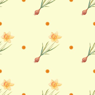 Narsisli suluboya botanik gerçekçi çiçek deseni. Beyaz arka planda parlak sarı nergis. Tekstil ve duvar kâğıdı için doğal ve canlı tekrarlanan baskı. Bahar çiçekleri