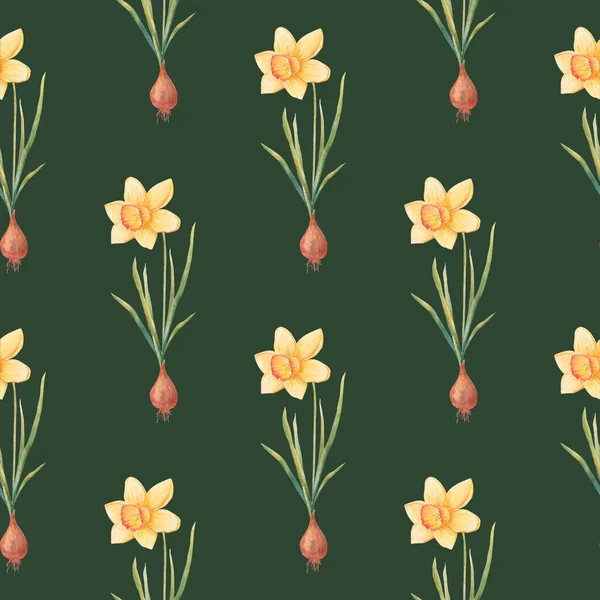 Akwarelowy Botaniczny Realistyczny Wzór Kwiatowy Narcyzem Jasnożółty Żonkil Białym Tle — Zdjęcie stockowe