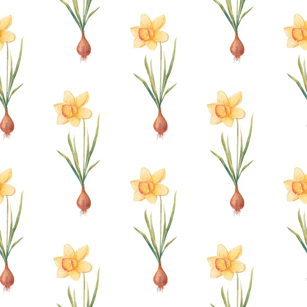 ナルシシズムと水彩植物の現実的な花のパターン 白い背景に明るい黄色のダフォジル テキスタイル 壁紙のための自然で活気のある繰り返し印刷 春の花 — ストック写真