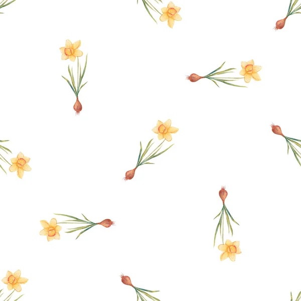 Акварель Ботанический Реалистичный Цветочный Узор Нарциссами Ярко Желтый Нарцисс Белом — стоковое фото