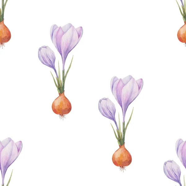 番红花图案 藏红花场有紫色番红花的无缝图案 透明背景上的无缝隙向量模式 背景说明 背景音乐 — 图库照片