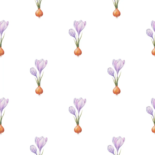 番红花图案 藏红花场有紫色番红花的无缝图案 透明背景上的无缝隙向量模式 背景说明 背景音乐 — 图库照片