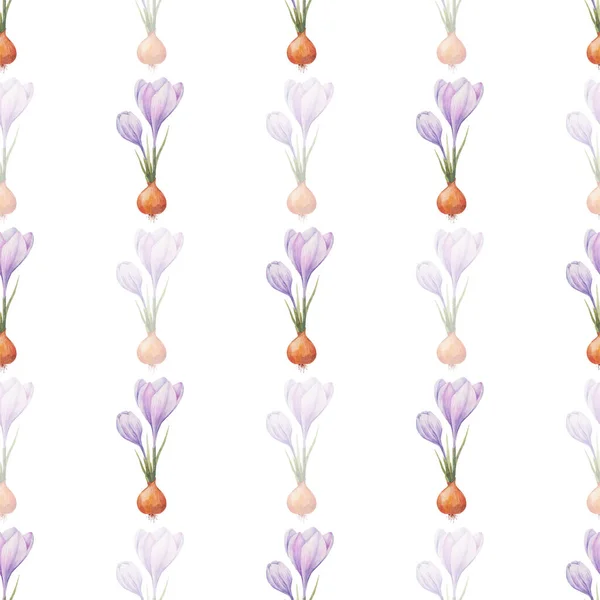 Crocus pattern. Saffron field. Seamless pattern with purple crocuses. Seamless vector pattern on a transparent background. Background illustration.  Wrapping background
