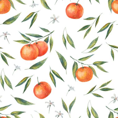 Clementine, organik, izole, meyve, portakal, tropik, mandalina, mandalina deseni, sonsuz, bahçe, el çizimi, dekor, düğün, kağıt, tropikal, yiyecek, limon, mandalina, çiçek, suluboya, vitamin, botanik, el yapımı, scdinavian, buket, fr