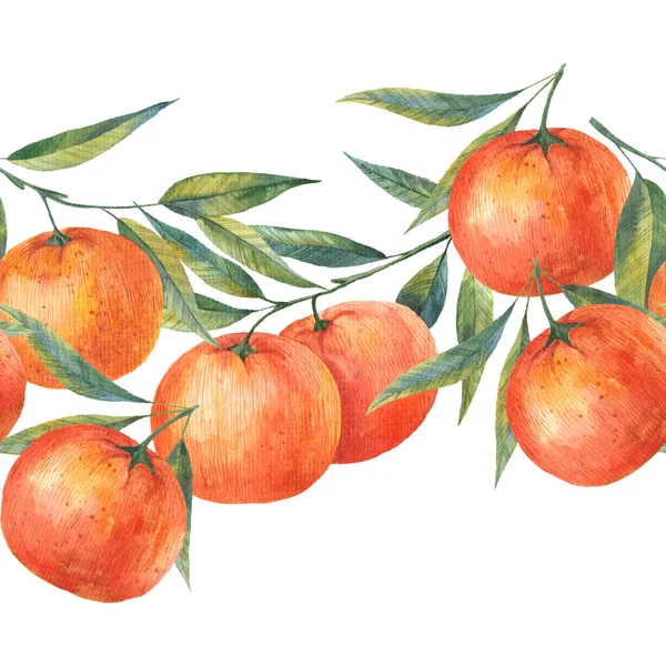 Klementinky Organické Izolované Ovoce Pomeranče Tropické Mandarinky Mandarinky Vzor Nekonečné — Stock fotografie