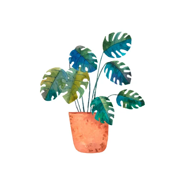 Милый Цветок Домашние Растения Симпатичная Детская Иллюстрация — стоковое фото