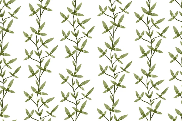 Botanický Bezešvý Vzor Větvemi Listy Bylinkami Ilustrace — Stock fotografie