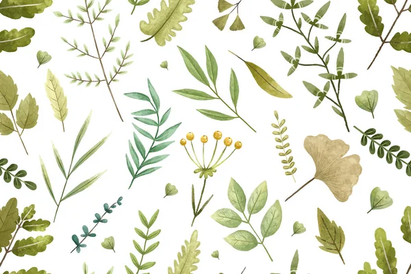 Ботанический Узор Печати Ветвями Листьями Травами Иллюстрация — стоковое фото