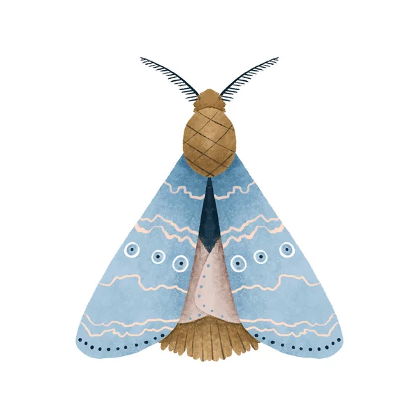 Bezszwowy Wzór Mistyczne Luna Ćma Wektor Ilustracje Cute Batterfly Kreskówki — Zdjęcie stockowe