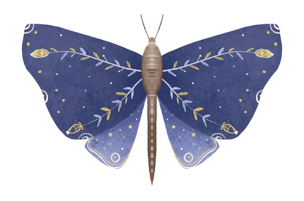 神秘的なルナ蛾ベクトルイラストとシームレスなパターン かわいい漫画の蝶 天体夜蝶 白を背景に魔法の昆虫 包装紙 壁アート 魔法のカードのためのデザイン — ストック写真