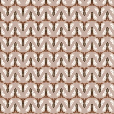 Mystical Luna güve vektör çizimleriyle kusursuz desen, sevimli çizgi film batterfly. Göksel Gece Kelebeği. Beyaz arka planda sihirli böcek. Ambalaj kağıdı, duvar sanatı, sihirli kart, davetiyeler, tişört baskısı, çıkartmalar için tasarım