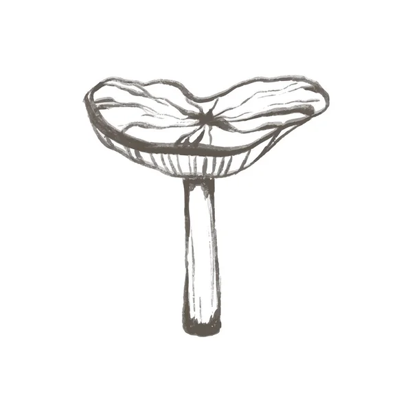Doodle Jamur Ilustrasi Dible Jamur Dalam Siluet Gaya Minimal Sempurna — Stok Foto