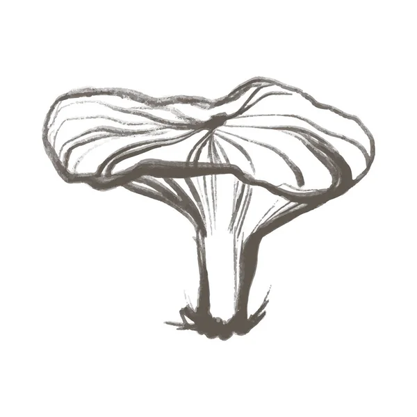 Doodle Mushroom Illustration Dible Mushroom Silhouette Minimal Style Perfect Cards — Stock Photo, Image
