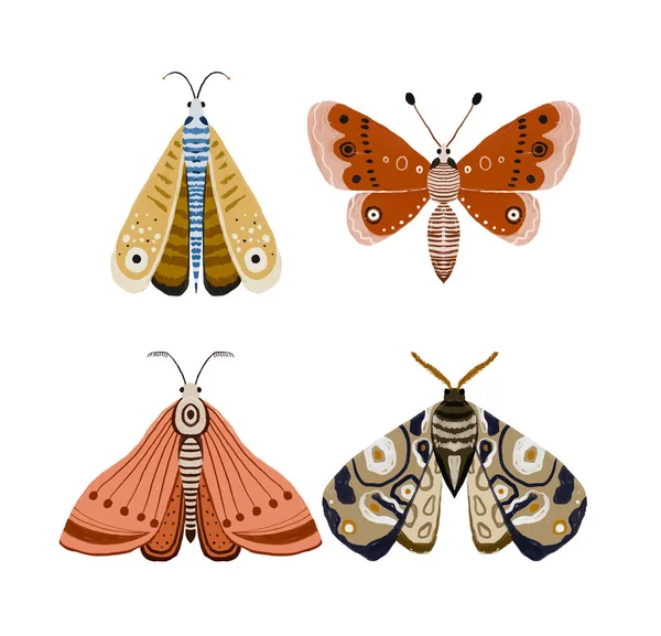Ilustración Pintada Mano Con Mariposa Brillante Clipart Insectos Alas Decorativas —  Fotos de Stock
