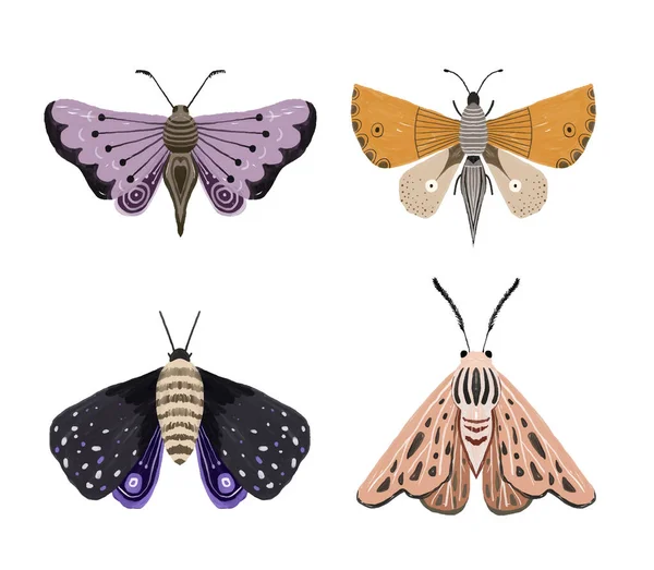 Handgemalte Illustration Mit Leuchtendem Schmetterling Insektenklippe Dekorative Flügel Illustration Sommer — Stockfoto