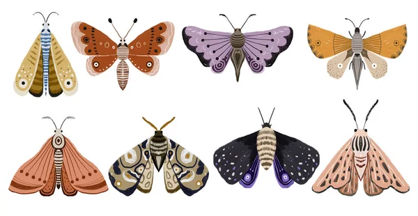 Ilustração Pintada Mão Com Borboleta Brilhante Clipart Insectos Asas Decorativas — Fotografia de Stock