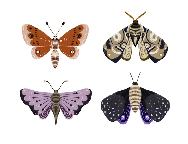 Ilustração Pintada Mão Com Borboleta Brilhante Clipart Insectos Asas Decorativas — Fotografia de Stock