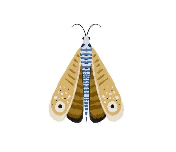 明るい蝶が付いている手描きのイラスト 昆虫クリップ 装飾的な翼 夏と春のイラスト — ストック写真
