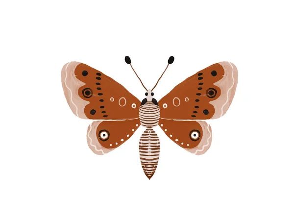 Illustrazione Dipinta Mano Con Farfalla Brillante Insect Clipart Ali Decorative — Foto Stock
