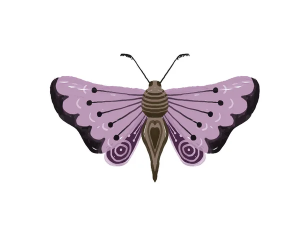 Illustration Peinte Main Avec Papillon Lumineux Clipart Insectes Des Ailes — Photo