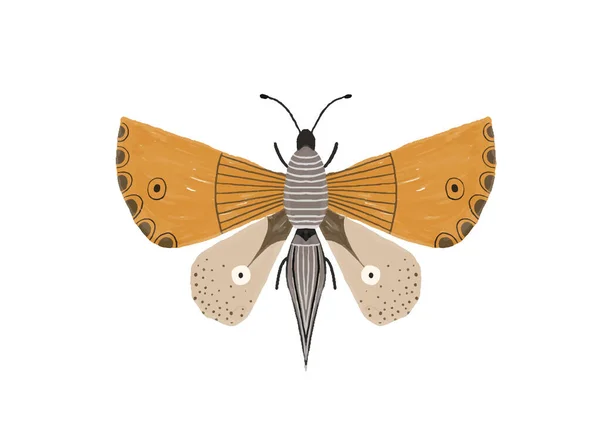 Ζωγραφισμένη Στο Χέρι Εικόνα Φωτεινή Πεταλούδα Κλιπ Εντόμων Διακοσμητικά Φτερά — Φωτογραφία Αρχείου